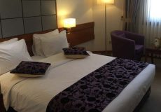 elysee-hotel-shiraz-junior suite 1