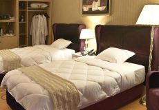 grand-hotel-shiraz-twin-room-2