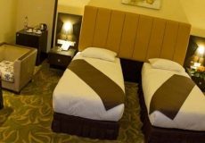 royal-hotel-shiraz-twin-room-1