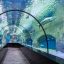 isfahan-aquarium-tunnel-1