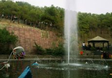 chitgar-forest-park-6