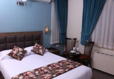 hally-hotel-tehran-double-room-3