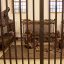 museum-of-the-qasr-prison-4