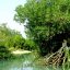 harra-(mangrove)-protected-area-1