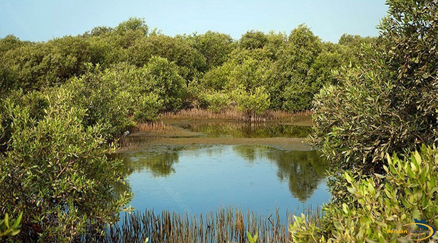 harra-(mangrove)-protected-area-3