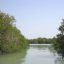 harra-(mangrove)-protected-area-4