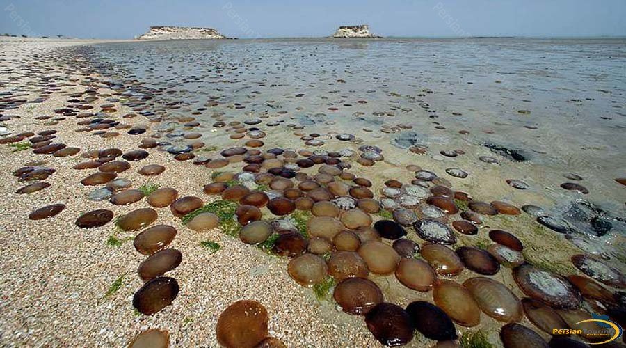 Hengam Island Persian Touring